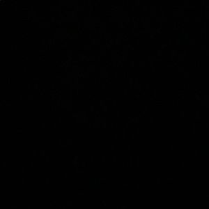 Meet your Posher, Isabella